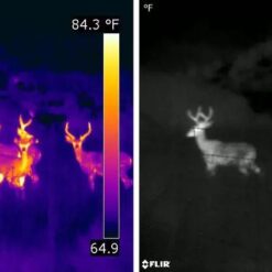 Night vision and Thermal