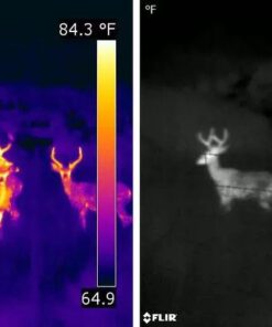 Night vision and Thermal